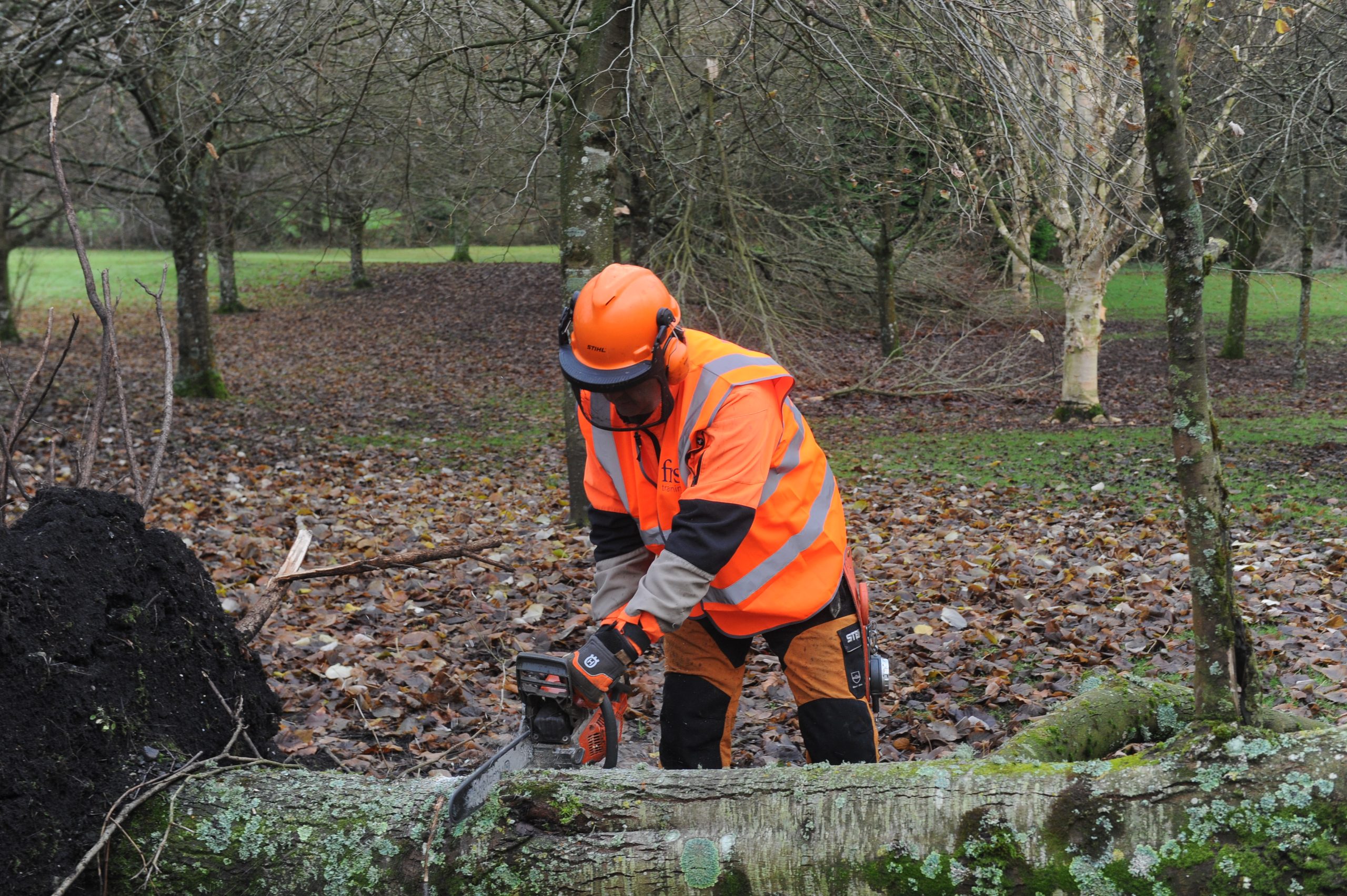 Safe Use Of Chainsaws Is Of Utmost Importance